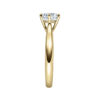 Verlobungsring Diamant Lupenrein, River 6-er Krappe gerade