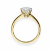 Verlobungsring Diamant Lupenrein, River 18016